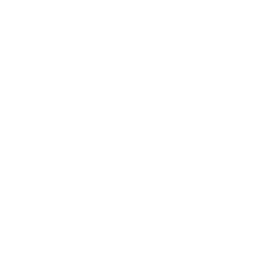 Physical and Mental Performance