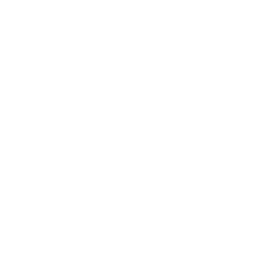 mental resilience